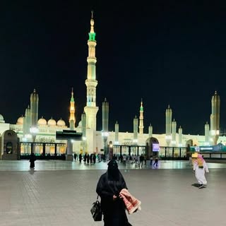 NousheenFalak