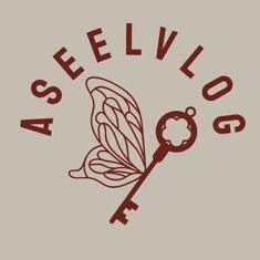 ASEEL VLOG
