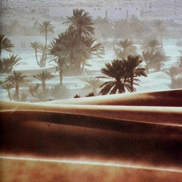 Samyah Alosaimi