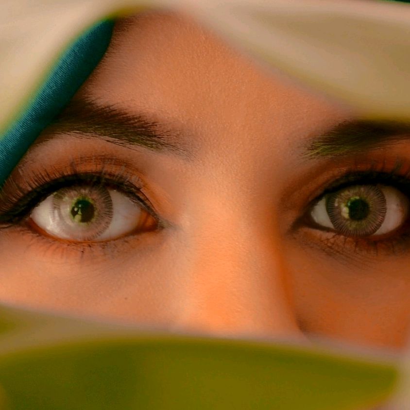 Faria Amir