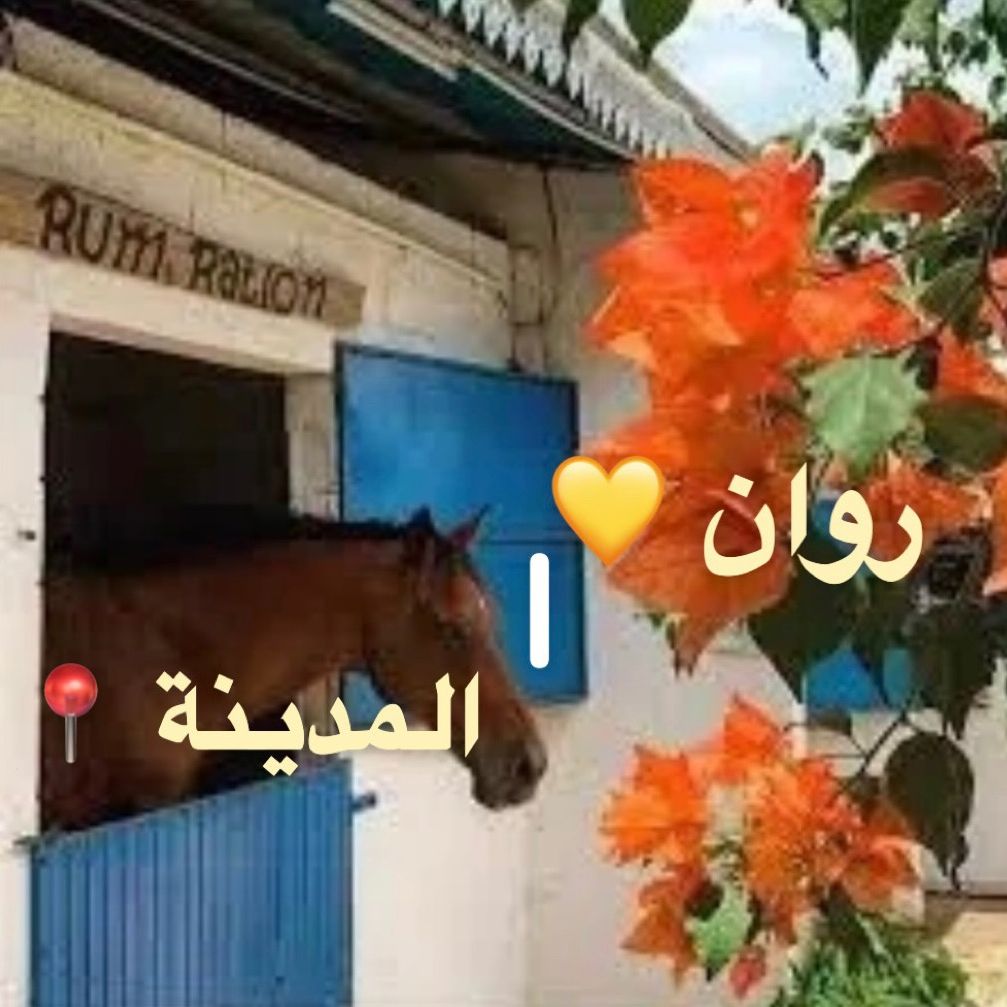 R_awan999