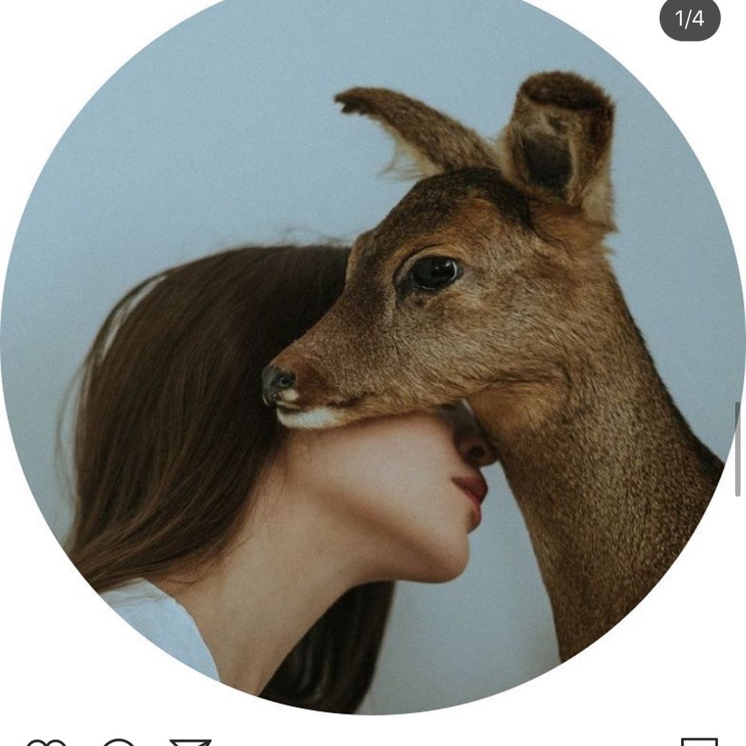 ابرار
