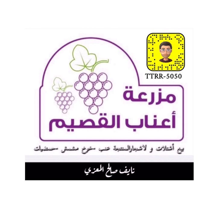 Nayef Saleh