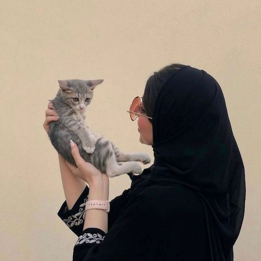 فوف  | تغطيات