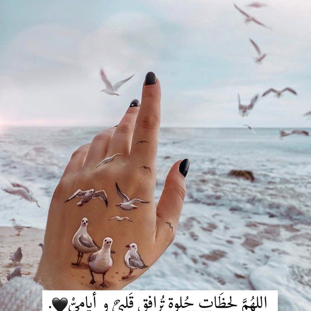 May Almohareb