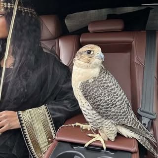 Latfa Ibrahim