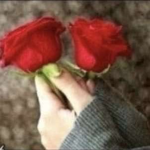 أبلة شمس