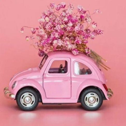 Pink Car
