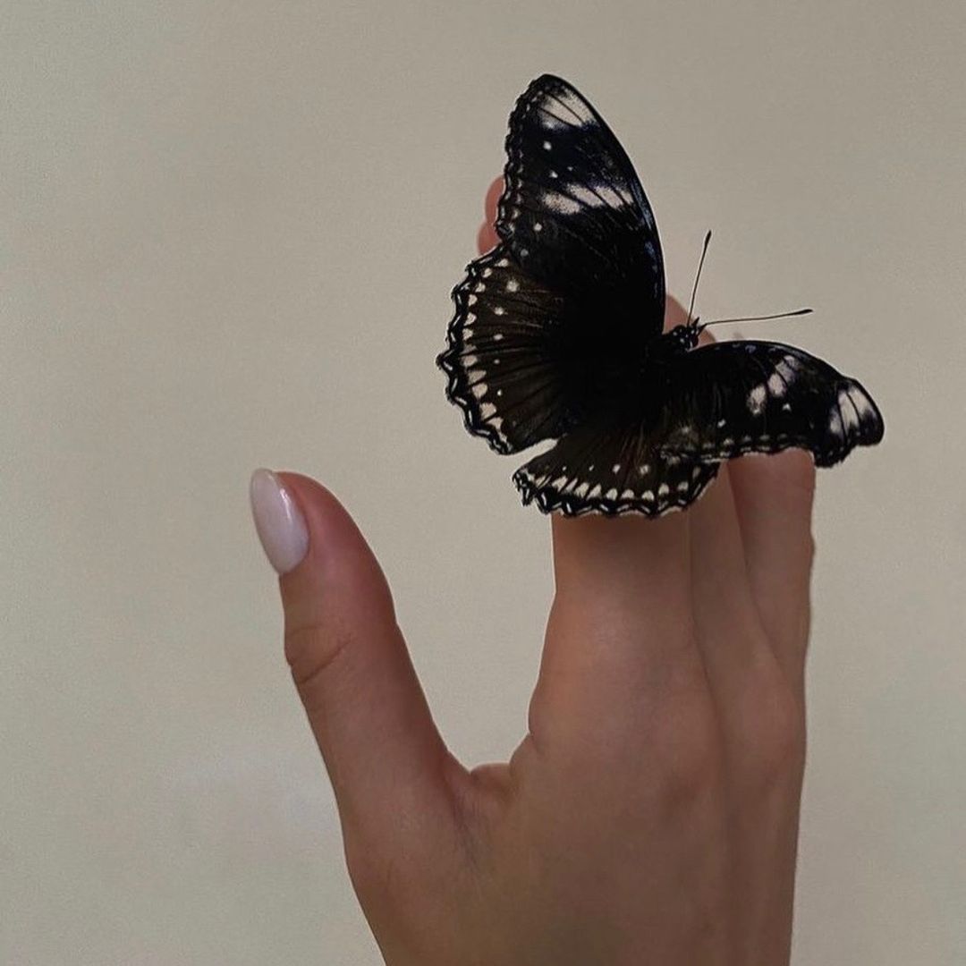  𝓐𝓵𝓪𝓪🦋