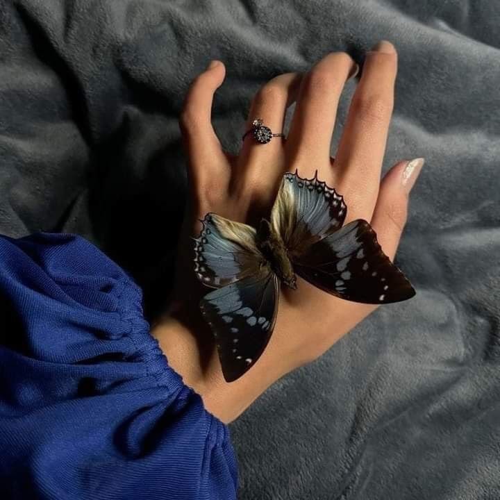 Amira